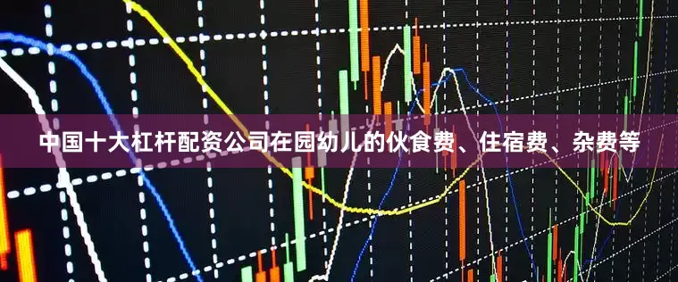 中国十大杠杆配资公司在园幼儿的伙食费、住宿费、杂费等